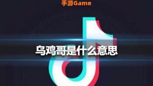 乌鸡哥是什么意思