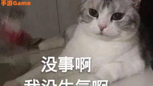 还是会想你还是会怪你是什么歌