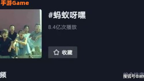 蚂蚁呀嘿是什么歌
